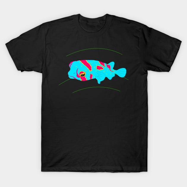 Porcupinefish (Diodon liturosus) T-Shirt by Namwuob